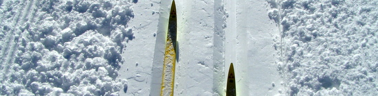 PICT0044.JPG