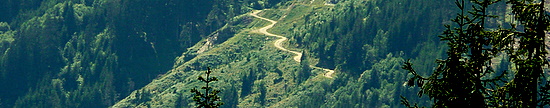 P1060180.JPG