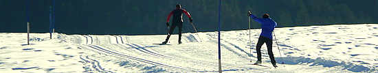 P1090588-1.JPG
