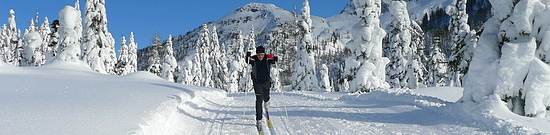 P1090858-1.JPG